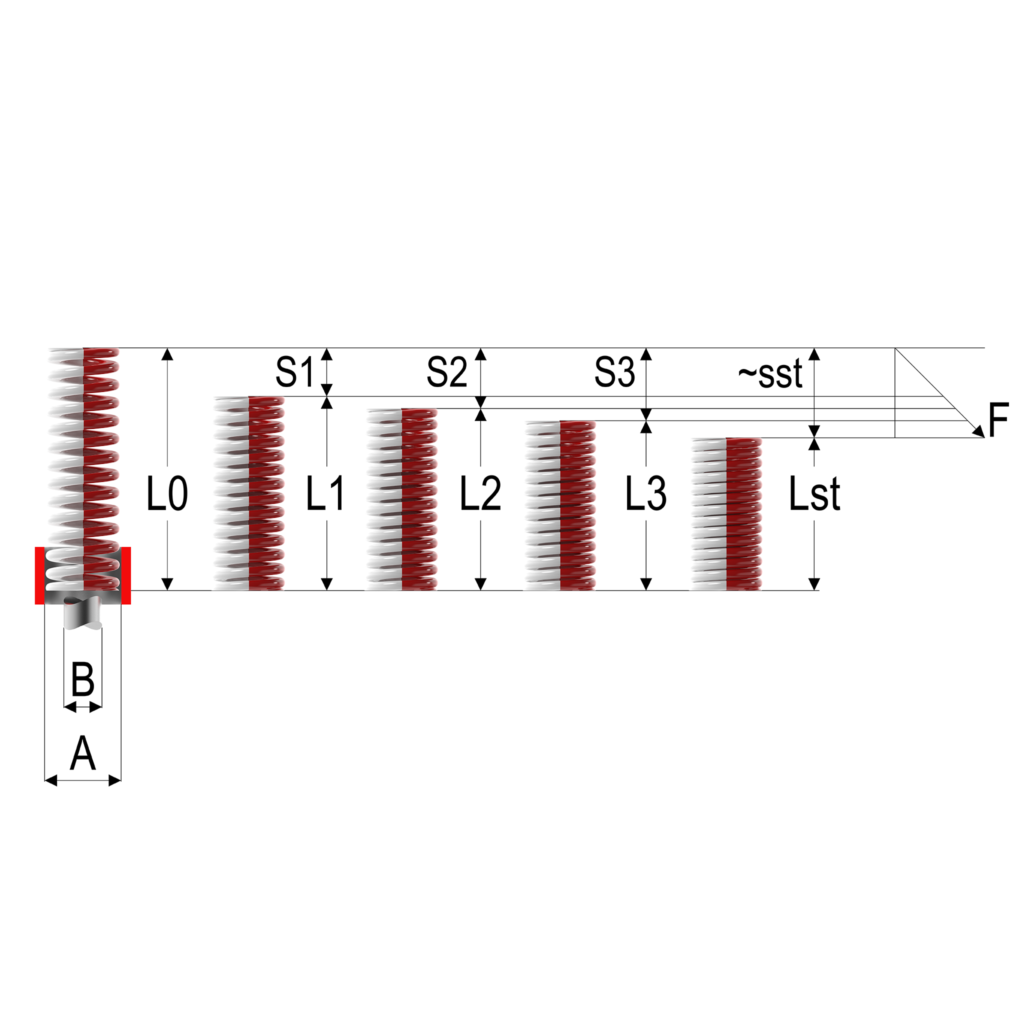 Dimensions of a Die Spring